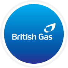 image-https://cdn.uk.customer360.co/alp/118/our-history/icon_british_gas.png
